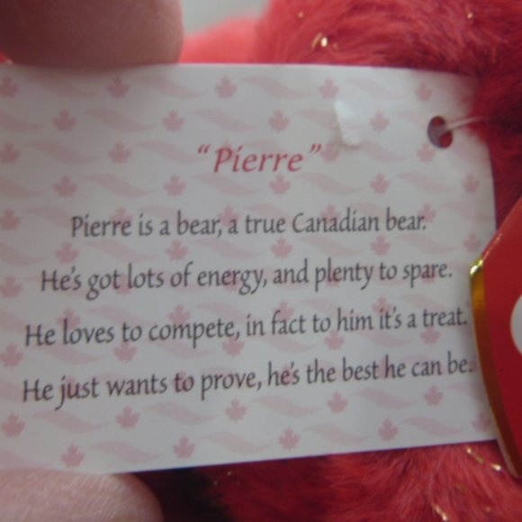 TY Beanie Buddy - PIERRE (Special Olympics Edition) - Picture 5 of 8